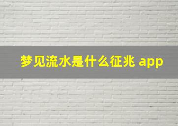 梦见流水是什么征兆 app